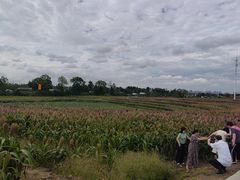 -三圣花乡旅游区