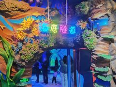-太奥幻太奇海洋馆