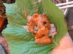 -辛氏火炉·韩式古法烤肉(松北店)