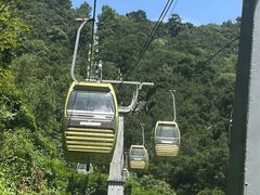 -黔灵山公园