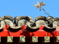 -北京古城老院厉晓麟精致菜