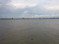 -大湾区中央湿地公园