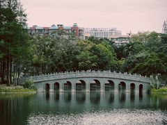 -四海公园(南山区)