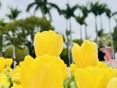 -厦门园林博览苑