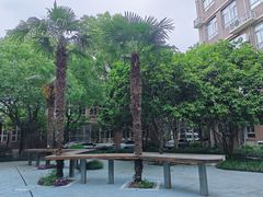 -上海市实验学校