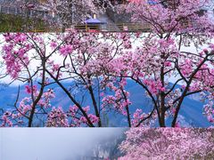 -九皇山景区