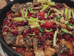 -老板恋上鱼(恒隆广场店)