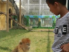 -西安秦岭野生动物园