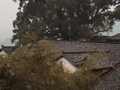 -杨家堂村