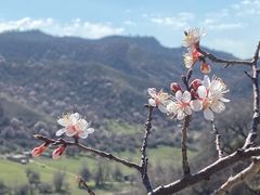 -中华福寿山