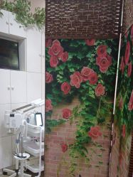 -香薇妮丝·定制减肥·身材管理