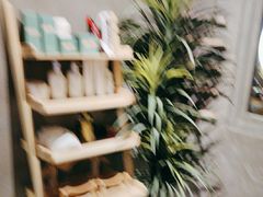 -施奈儿.洗头頭療.按摩SPA.采耳(上梅林店)