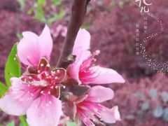 -长沙友阿奥特莱斯