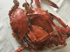 -顶之鲜海鲜餐厅