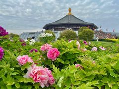 -隋唐洛阳城明堂天堂景区