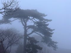 -妙峰山风景名胜区