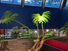 -胡大饭馆 24h(簋街总店)
