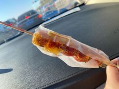 -和禄德冰糖葫芦