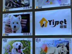 -翊宠yipet猫狗购宠庄园