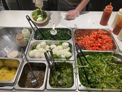 -油梨树 AVOCADO TREE(亮马桥店)