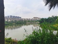 -枫香湖儿童公园