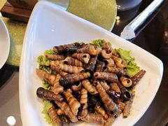 -喜乐餐厅•灯笼虾球首创者•本地小海鲜(二马路店)