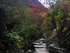 景点-黄花溪