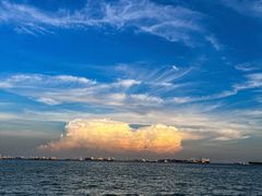 -珍宝海鲜(东海岸海鲜中心)