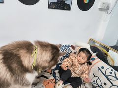 -星多哈·狗咖·拼豆·咖啡