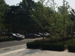 -山东省青岛第二中学(江西路分校)