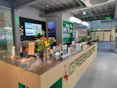-绿壁虎攀岩基地(Tcar店)