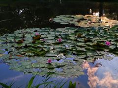 -石塘人家