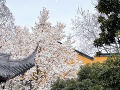 -龙华寺