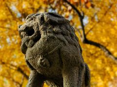 -北京石刻艺术博物馆(五塔寺)