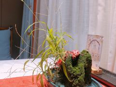 -叶叶菩提·晋福宫