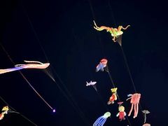 -巨鹏飞梦幻海岸