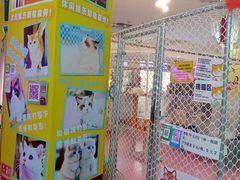 -原宿春天购物广场