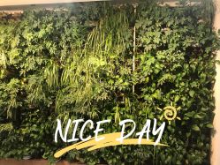 -云南铜雀台美容医院