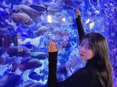-哈尔滨波塞冬海底世界
