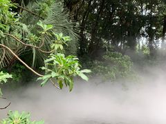 -哈利波特魔法世界