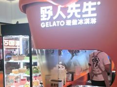 -野人先生现做冰淇淋(北京王府井东方新天地店)