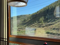 -云座·时光·观景咖啡厅(五爷庙店)