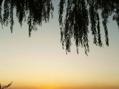 -丁香湖公园