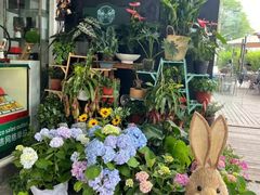 -FEI FEI FLOWER鲜花店·气球派对·宝宝宴布置(虹口德必运动Loft店)