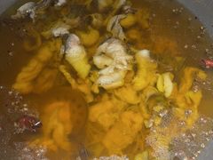 -雲蜀龙阁·金牌水煮鱼(方庄店)