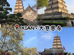 -大慈恩寺(大雁塔)