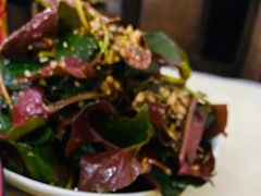 -东吴霸王兔(松青路店)