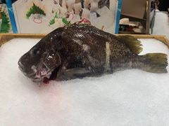 -丰卓会海鲜自助(中润大道店)