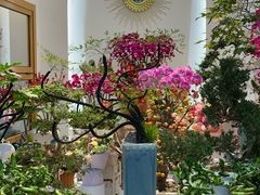 -溪岸路花鸟市场