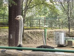 -青藏高原野生动物园